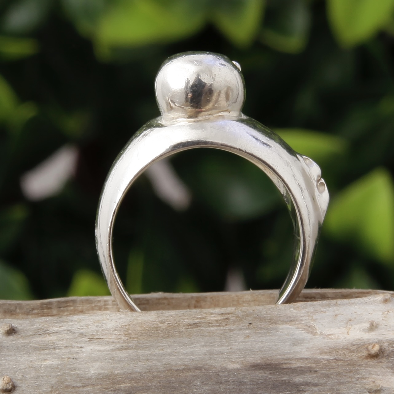 Duck Ring Hover