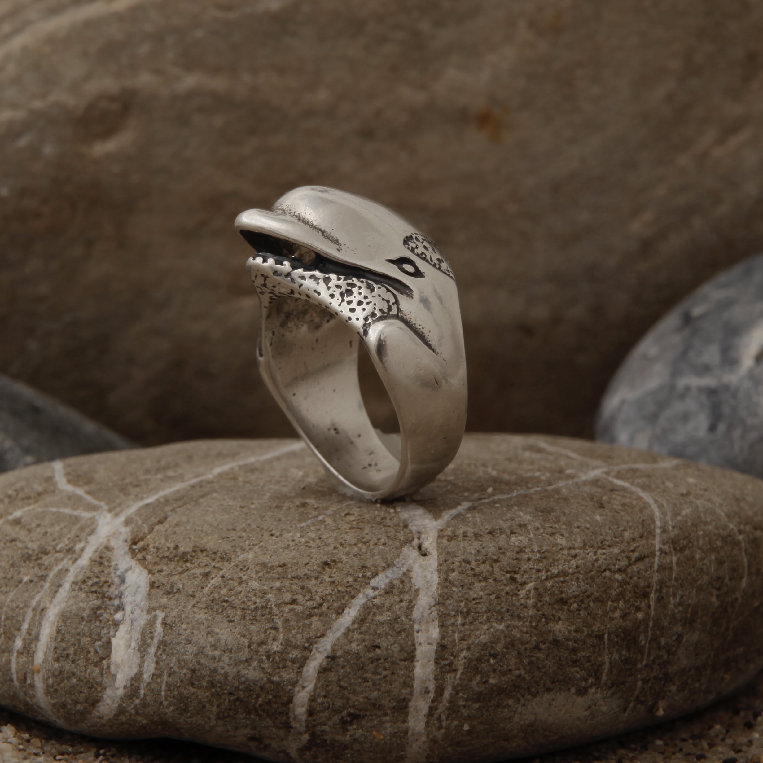 Orca Ring Hover