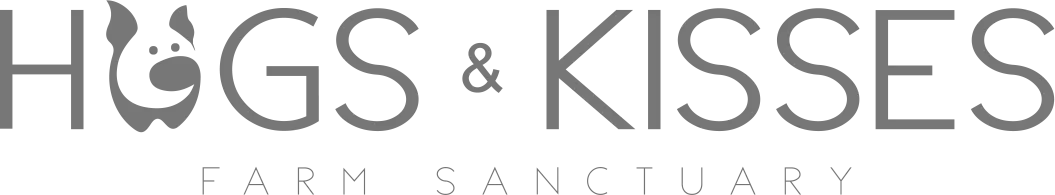 Hogs & Kisses, Charlottesville, VA